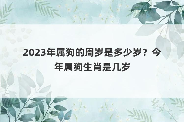 2023年属狗的周岁是多少岁？今年属狗生肖是几岁