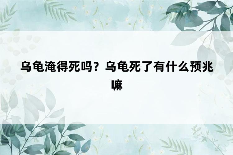 乌龟淹得死吗？乌龟死了有什么预兆嘛