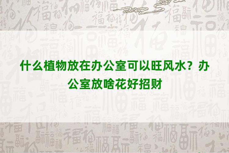 什么植物放在办公室可以旺风水？办公室放啥花好招财