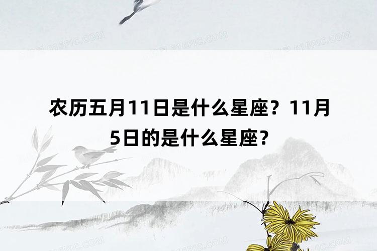 农历五月11日是什么星座？11月5日的是什么星座？