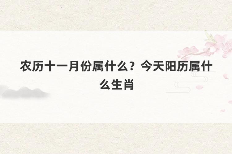 农历十一月份属什么？今天阳历属什么生肖