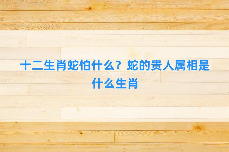 十二生肖蛇怕什么？蛇的贵人属相是什么生肖