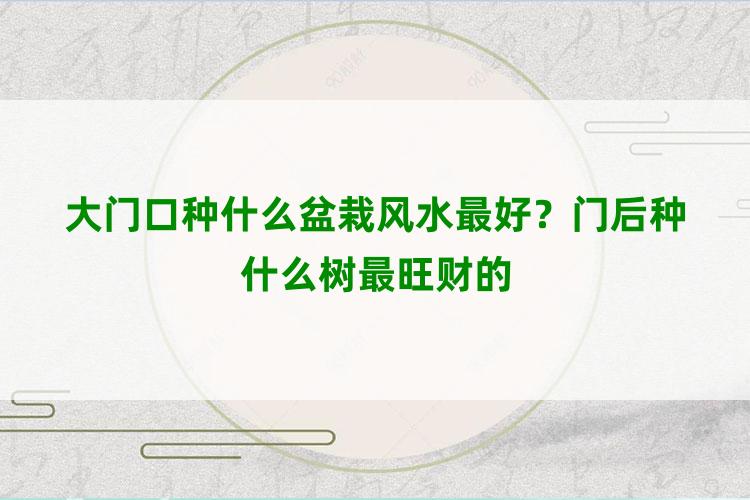 大门口种什么盆栽风水最好？门后种什么树最旺财的