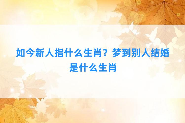 如今新人指什么生肖？梦到别人结婚是什么生肖