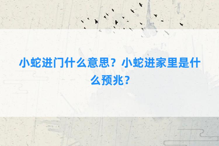 小蛇进门什么意思？小蛇进家里是什么预兆？