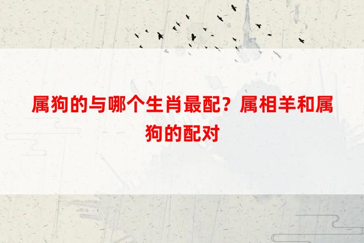 属狗的与哪个生肖最配？属相羊和属狗的配对