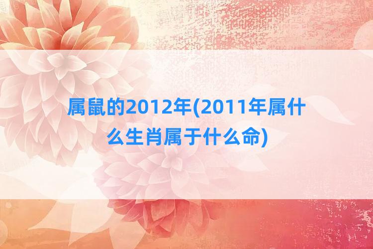 属鼠的2012年(2011年属什么生肖属于什么命)