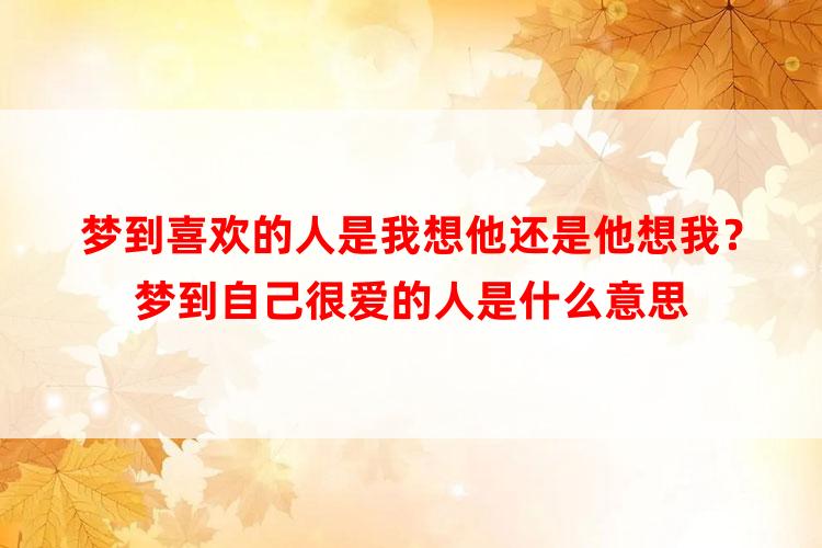 梦到喜欢的人是我想他还是他想我？梦到自己很爱的人是什么意思