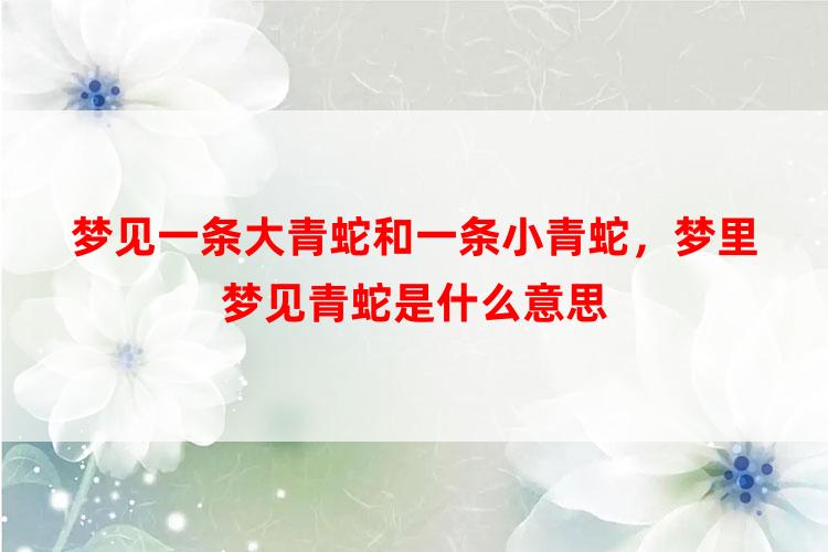 梦见一条大青蛇和一条小青蛇，梦里梦见青蛇是什么意思