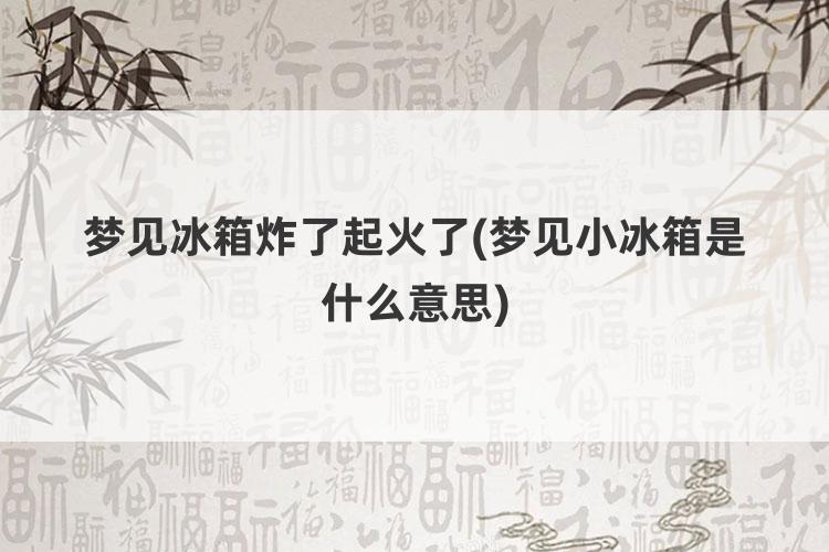 梦见冰箱炸了起火了(梦见小冰箱是什么意思)