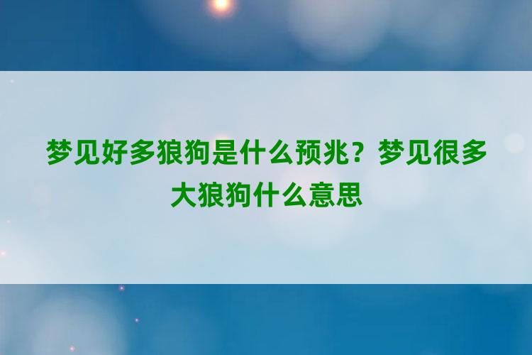 梦见好多狼狗是什么预兆？梦见很多大狼狗什么意思