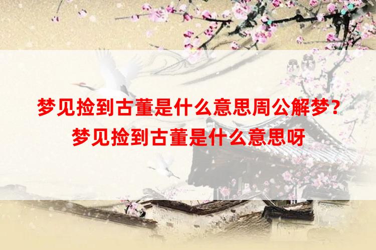 梦见捡到古董是什么意思周公解梦？梦见捡到古董是什么意思呀