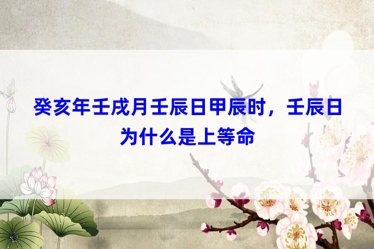 癸亥年壬戌月壬辰日甲辰时，壬辰日为什么是上等命