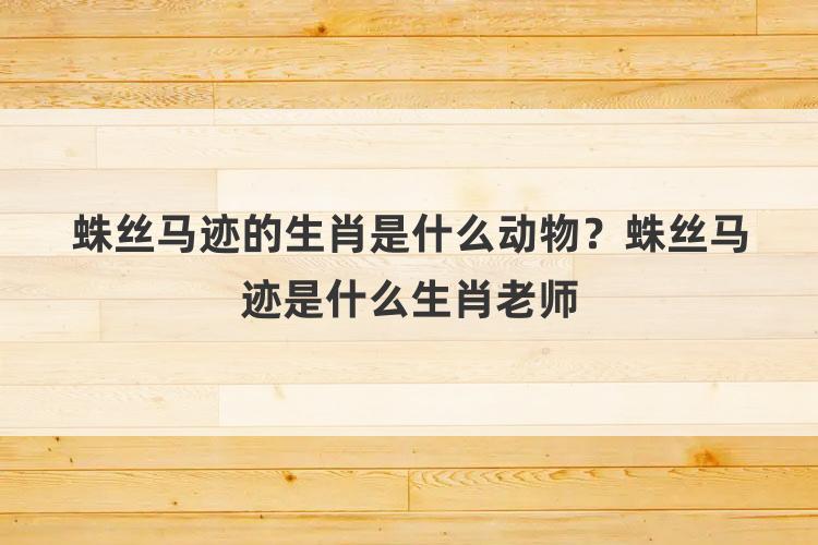 蛛丝马迹的生肖是什么动物？蛛丝马迹是什么生肖老师