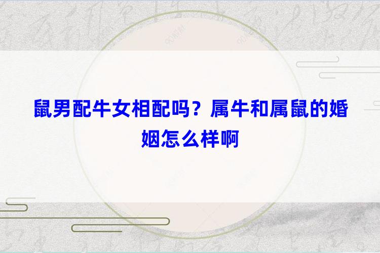 鼠男配牛女相配吗？属牛和属鼠的婚姻怎么样啊