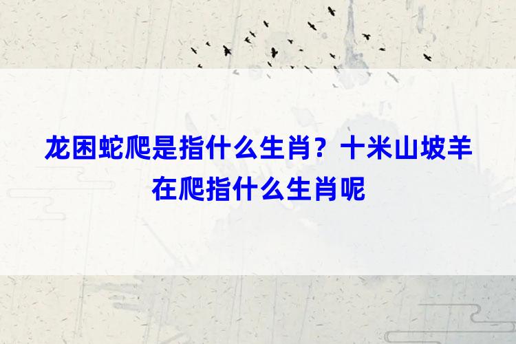 龙困蛇爬是指什么生肖？十米山坡羊在爬指什么生肖呢